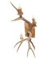 Elk & Mule Deer Right Wall Sconce 247843