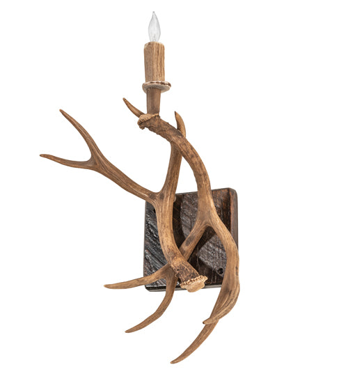 Elk & Mule Deer Wall Sconce 247849