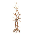 Antlers Elk & Mule Deer Floor Lamp 247868