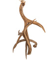 Antlers Mule Deer Table Lamp 247873